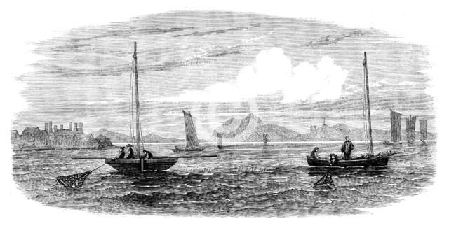 The Shellfish Supplies: oyster-boats dredging off Prestonpans, 1862. Creator: Unknown.