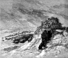 The Shepherd's Christmas - a sketch on Brighton Downs - drawn by E. Duncan, 1858. Creator: Unknown