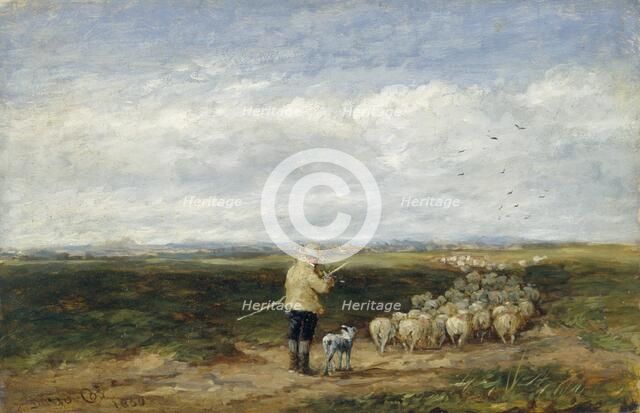 'The shepherd:Return of the flock', 1850. Artist: David Cox the elder.