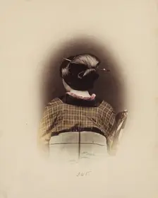 The Shimada Style, c1885. Creator: Unknown