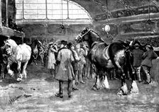The Shire Horse Show at Islington: preparing for the parade, 1895. Creator: George Meisenbach