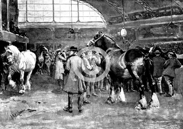 The Shire Horse Show at Islington: preparing for the parade, 1895. Creator: George Meisenbach.