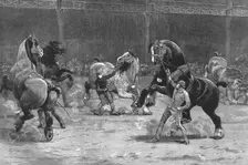 'The Shire Horse Show at the Agricultural Hall--The effect of applause 1890. Creator: Unknown