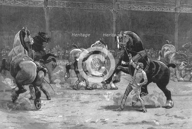 ''The Shire Horse Show at the Agricultural Hall--The effect of applause', 1890. Creator: Unknown.