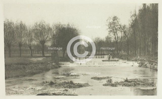 The Shoot, Amwell Magna Fishery, 1880s. Creator: Peter Henry Emerson.
