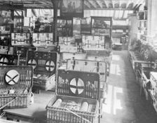 The shop interior of Scotts & Sons, London, c1914-c1918. Creator: Unknown