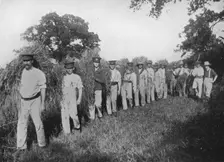 The shortage of farm labour: Soldiers assisting with the harvest 1915