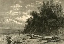 The Shore at Lake Forest 1874. Creator: W. J. Linton