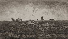 The Shower, c. 1851. Creator: Charles François Daubigny (French, 1817-1878)
