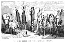 The Sick Goose and the Council of Health 19th century. Artist: George Cruikshank