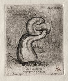 The Sickly Cryptogam, 1860. Creator: Charles Meryon (French, 1821-1868)