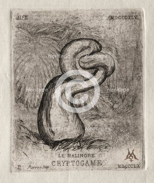 The Sickly Cryptogam, 1860. Creator: Charles Meryon (French, 1821-1868).