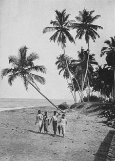 The Side of the Silver Sea c1890, (1910). Artist: Alfred William Amandus Plate