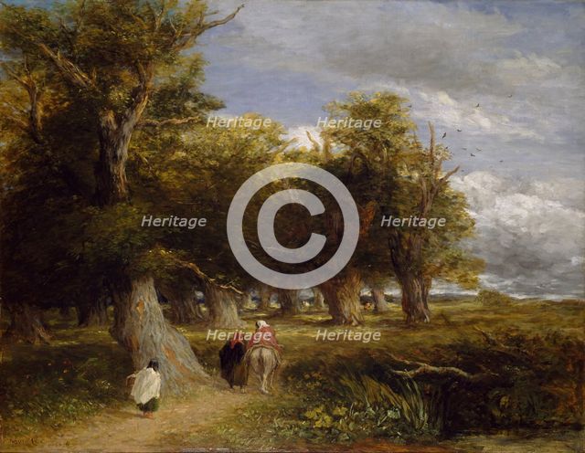 The Skirts of the Forest, 1856. Creator: David Cox the elder.