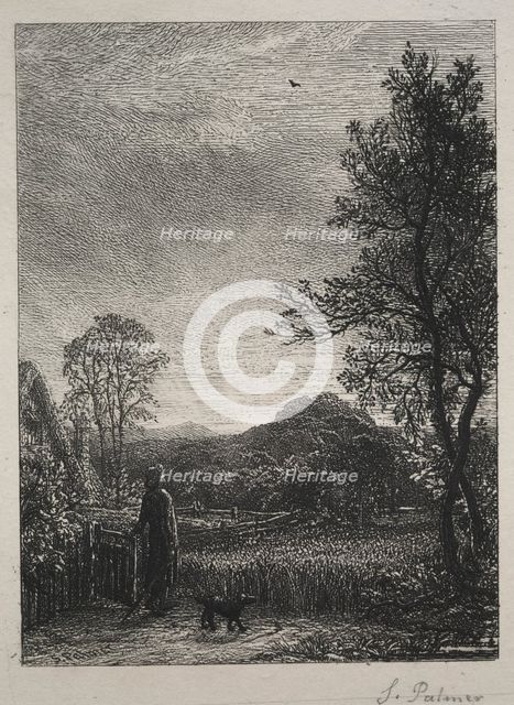 The Skylark, 1850. Creator: Samuel Palmer (British, 1805-1881).