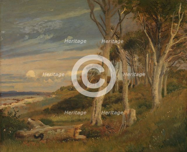The Slopes of Asnaes Dyrehave, 1847. Creator: Johan Thomas Lundbye.