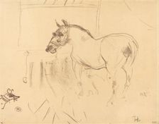 The Small Pony from Calmese (Le petit poney de Calmèse), 1899. Creator: Henri de Toulouse-Lautrec