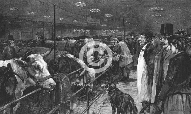''The Smithfield Club Cattle Show at the Agricultural Hall', 1891. Creator: George Harrison.