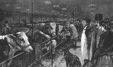 'The Smithfield Club Cattle Show at the Agricultural Hall 1891. Creator: George Harrison