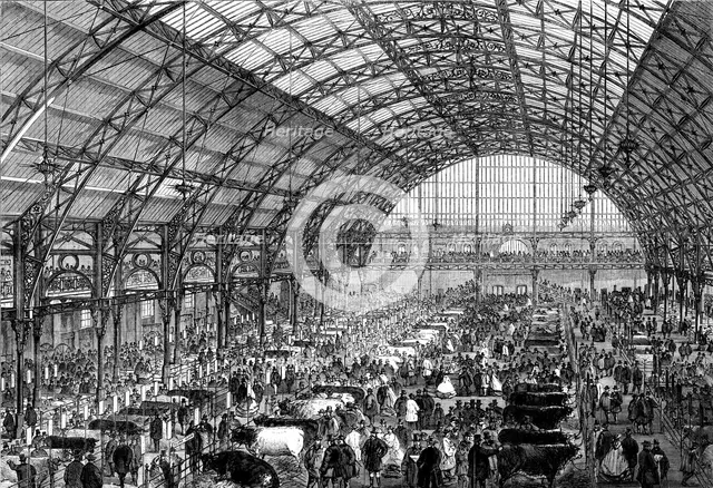 The Smithfield Club Cattle Show at the new Agricultural Hall, Islington, 1862. Creator: Unknown.