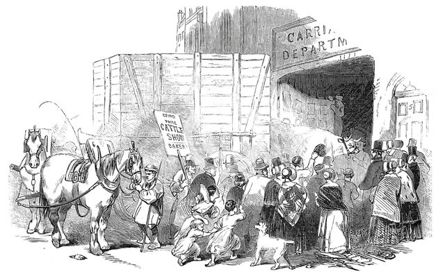 The Smithfield Club Christmas Cattle Show - Arrival of prize cattle..., 1844. Creator: Unknown.