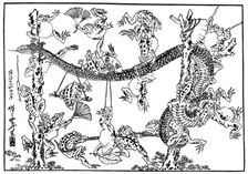 The Snake and the Frog 1898.Artist: Kawanabe Kyôsai