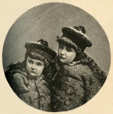 The Snow-Birds Christmas-Tree 1883. Creator: Unknown