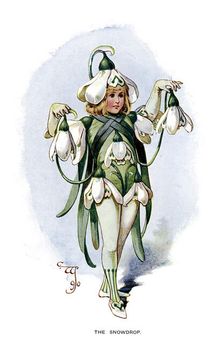 The Snowdrop 1899
