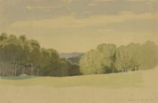 The Sombornswiese meadow with its hunting stand, 1862. Creator: Carl Theodor Reiffenstein