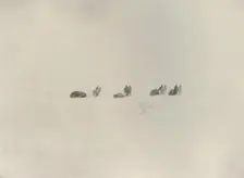 The Southern Party Marching into the White Unknown 1908, (1909)