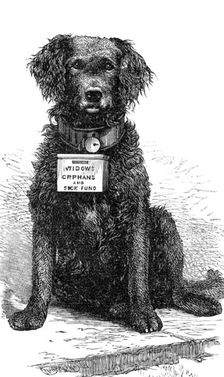The Southsea and Ryde Collecting Dog "Brake", 1883. Creator: Unknown