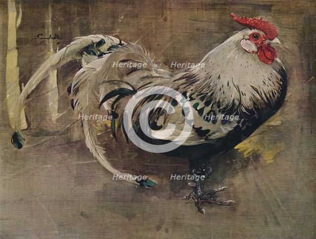 'The Spangled Cock', 1903 (1935). Artist: Joseph Crawhall.