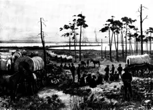 The Spanish-American War: the United States camp at Tampa Harbour, 1898. Creator: Unknown