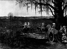 The Spanish-American War: the deadly Palmetto Swamps of Cuba, 1898. Creator: Unknown