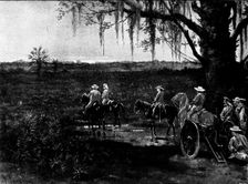 The Spanish-American War: the deadly Palmetto Swamps of Cuba, 1898. Creator: Unknown