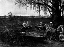 The Spanish-American War: the deadly Palmetto Swamps of Cuba, 1898. Creator: Unknown