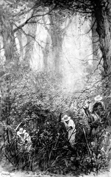 The Spanish-American War: the rainy season in Cuba - in the country, 1898. Creator: Unknown