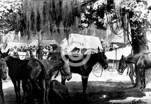The Spanish-American War:...United States Mobilisation at Tampa: picket line and wagon train, 1898. Creator: Unknown.