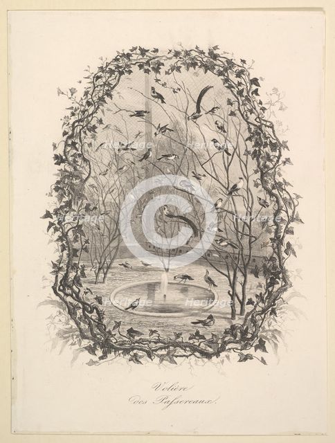 The Sparrow Aviary, 1843. Creator: Charles Francois Daubigny.