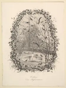 The Sparrow Aviary, 1843. Creator: Charles Francois Daubigny