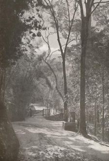 The Spirit of Tijuca 1914