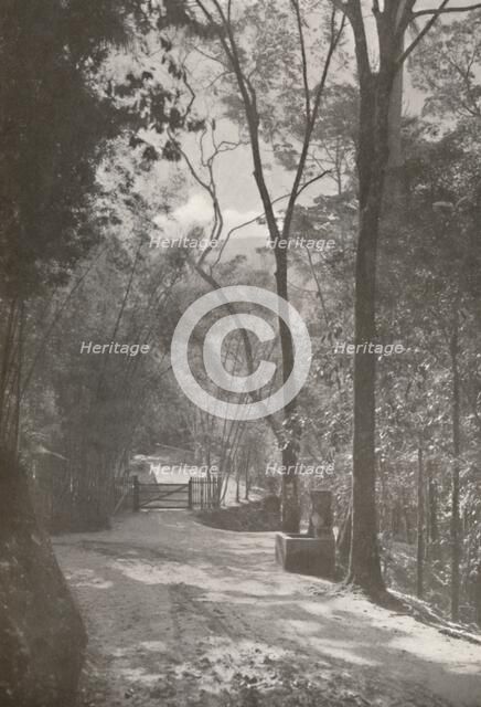 'The Spirit of Tijuca', 1914. Artist: Unknown.