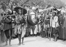 The spoils of the jungle, 1902