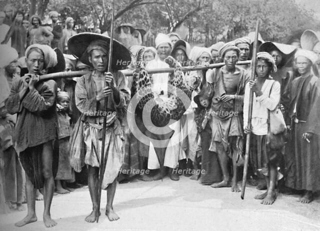 The spoils of the jungle, 1902. Artist: Unknown.