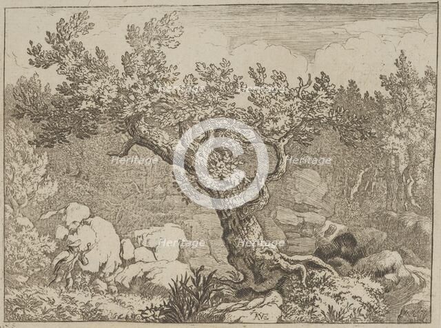 The Sportsman near the Large Tree, 17th century. Creator: Allart van Everdingen.