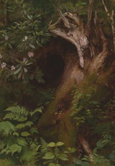 The Squirrel, 1860s/70s. Creator: Seymour Joseph Guy