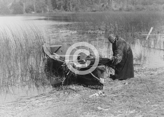 The tule gatherer, c1910. Creator: Edward Sheriff Curtis.