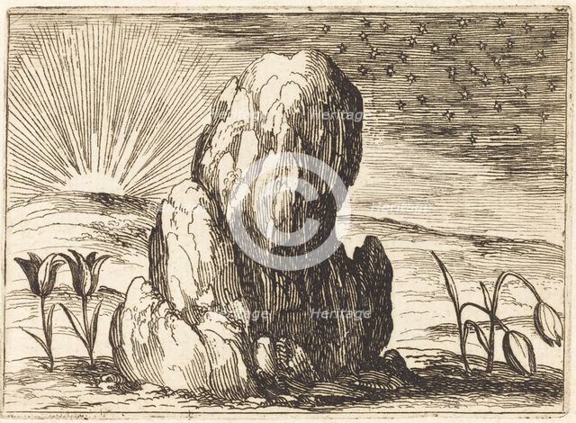 The Tulips and the Sun, 1628. Creator: Jacques Callot.