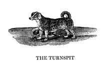 The Tunspit 1790