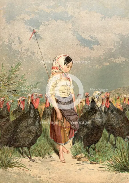 'The Turkey Guardian', 1858. Artist: Unknown
